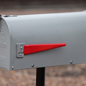 At-Home Paternity DNA Test