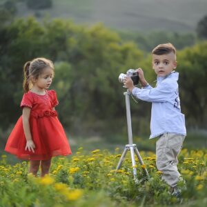 Legal Sibling DNA Test